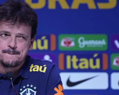 Diniz, interim Brazil coach, refuses to talk about Ancelotti