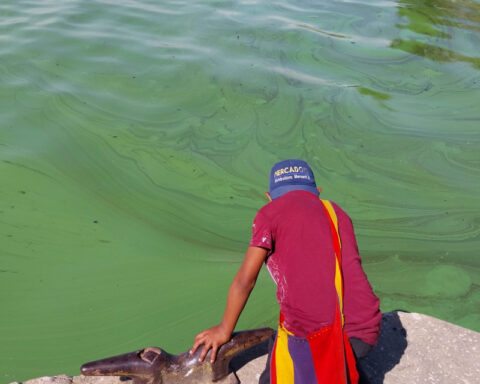 Minister of Ecosocialism disregards claims about Lake Maracaibo