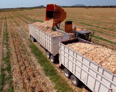 Unions warn of consequences for elimination of diesel subsidy