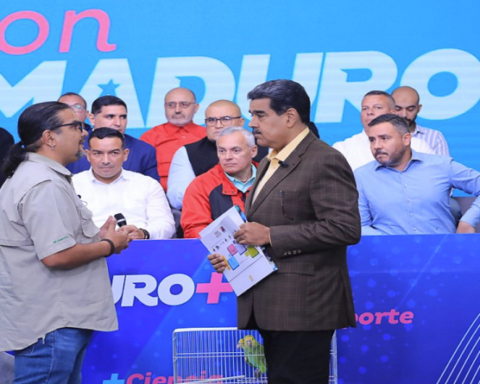 Venezolano gana premio internacional por protección a cotorras margariteñas