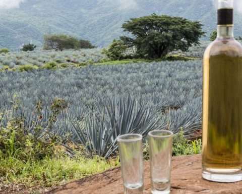 10 facts to celebrate International Tequila Day