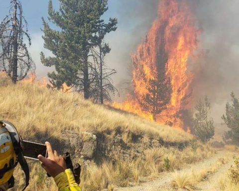 A fire in Tunari Park reaches the forested area