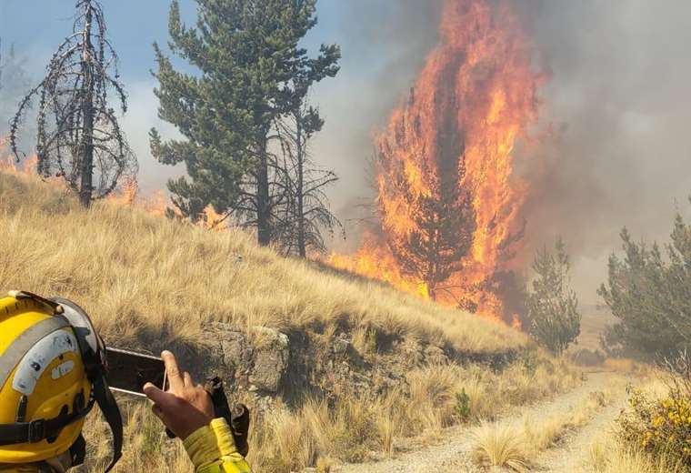 A fire in Tunari Park reaches the forested area