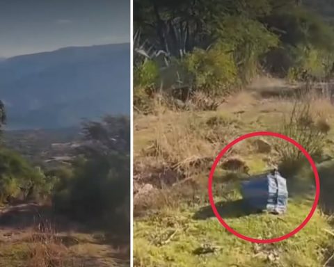 Ayacucho: PNP seizes 38 packages of cocaine paste