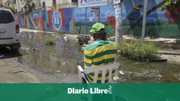 Boquete is looking for something in a puddle on Guarocuya Street