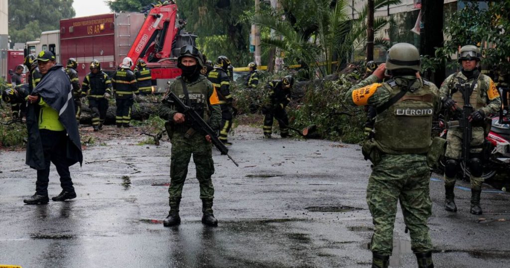 CDMX: Tree falls on vehicle on Benito Juárez; woman dies from impact