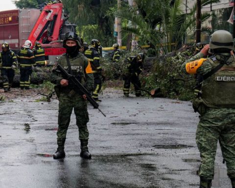 CDMX: Tree falls on vehicle on Benito Juárez; woman dies from impact