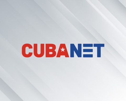 Cuban economist says Díaz-Canel's "erroneous policies" have caused "disasters"