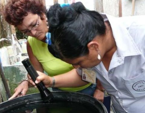 Fiebre de Oropouche, dengue, Cuba