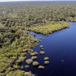 European Union to donate R$120 million to the Amazon Fund