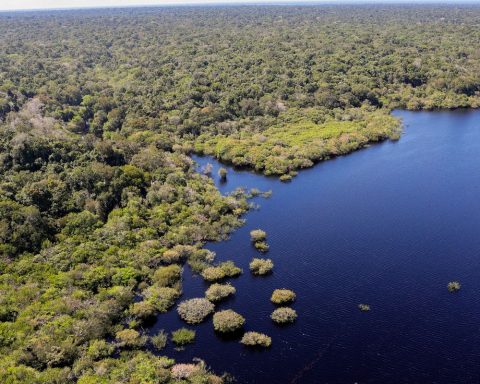 European Union to donate R$120 million to the Amazon Fund