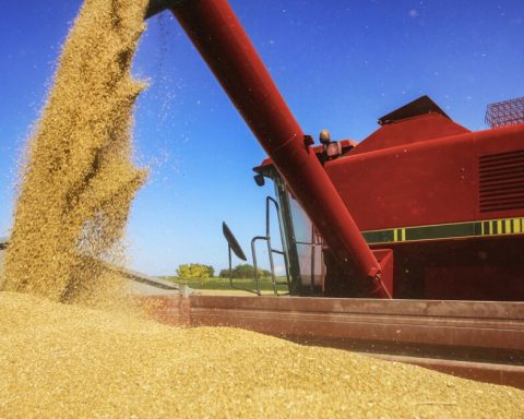 Exporters sell 133,000 tons of corn from the US to Mexico