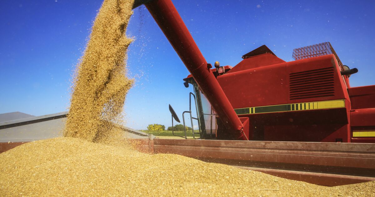 Exporters sell 133,000 tons of corn from the US to Mexico