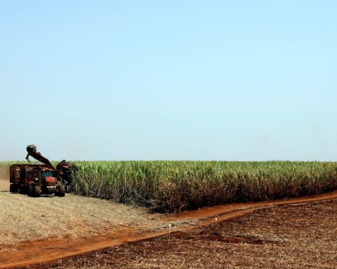 Government releases R$210 million for rural insurance in Rio Grande do Sul