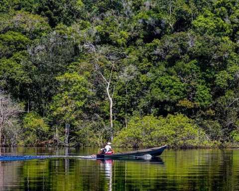 Hepatitis Delta spreads among riverside communities in the Amazon