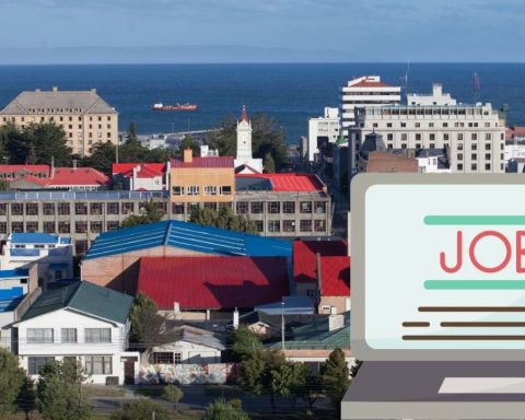 How to apply for a job in Punta Arenas in just 5 steps