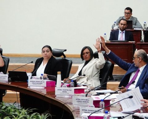 INE turns to the UIF at the last minute for 2024 audit