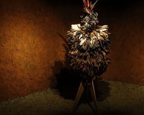 Indigenous artifacts held in France return to Brazil