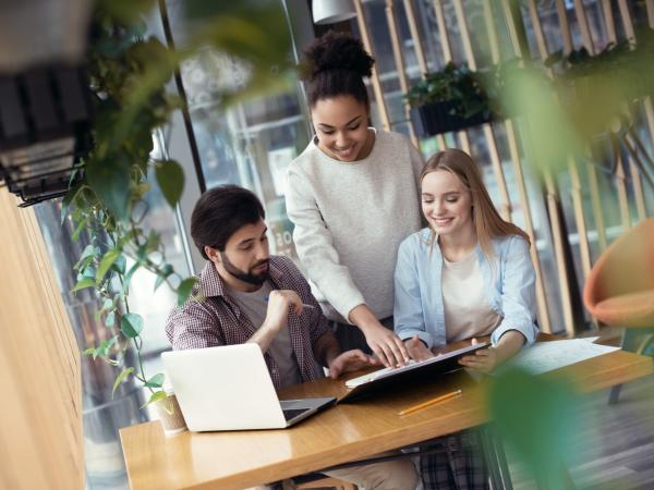 Insurance sector contributes to reducing the employment gap between men and women