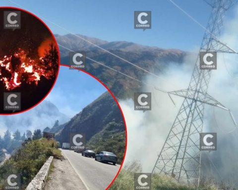 Junín: One injured, units stranded and hectares affected by a dozen forest fires simultaneously