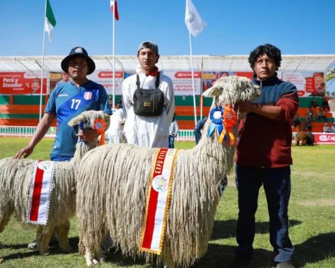 Junín: The Agricultural Fair of the Yauris Expo Center will take place from July 25 to 30