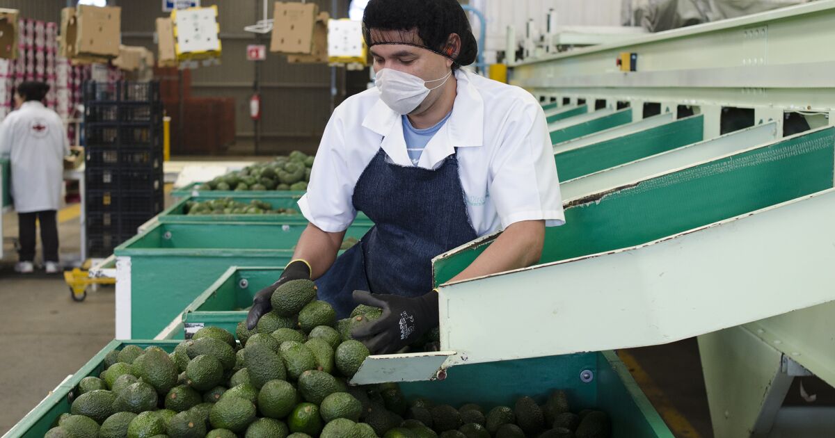 Mexico and the US close a case of labor rights violations at RV Fresh Foods