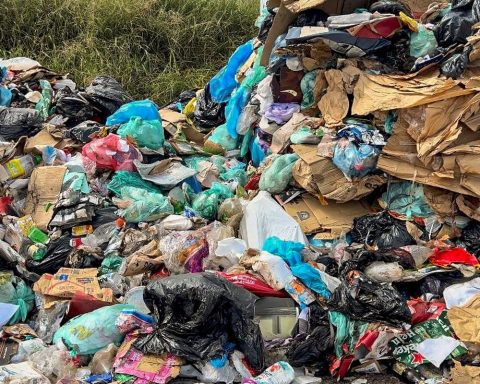 New Brazilian platform allows tracking of plastic reuse