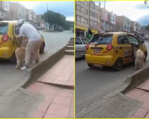 En medio de la angustia, el perro trata de ingresar al vehículo por la ventana, sin embargo el conductor arranca, dejándolo allí; ocurrió en Duitama