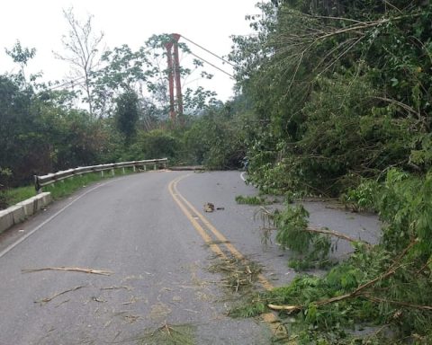 Puno: Armed criminals assault the occupants of a van and steal 20 thousand soles