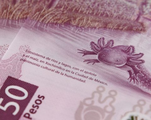 Six-month Cetes offer the best returns to investors