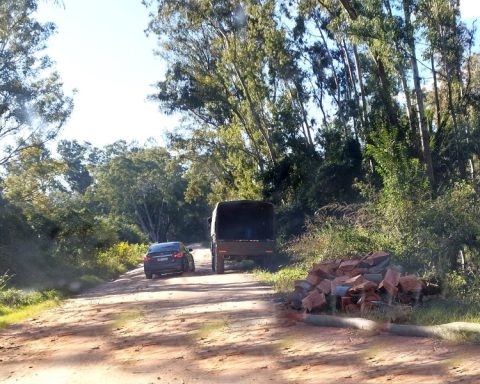 Soldiers make firewood in Casas Blancas for the Battalion and to exchange for food