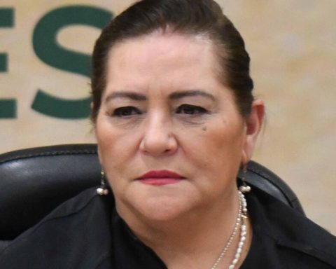 Taddei: Election of the Judiciary would cost as much as the presidential process