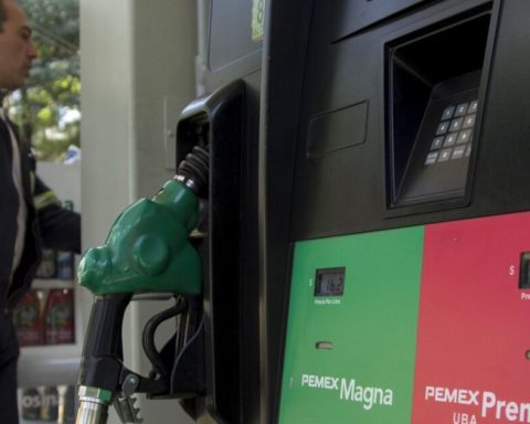 Treasury eliminates diesel and Premium subsidies, and cuts Magna subsidies