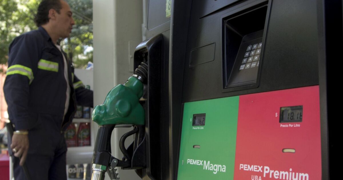 Treasury eliminates diesel and Premium subsidies, and cuts Magna subsidies