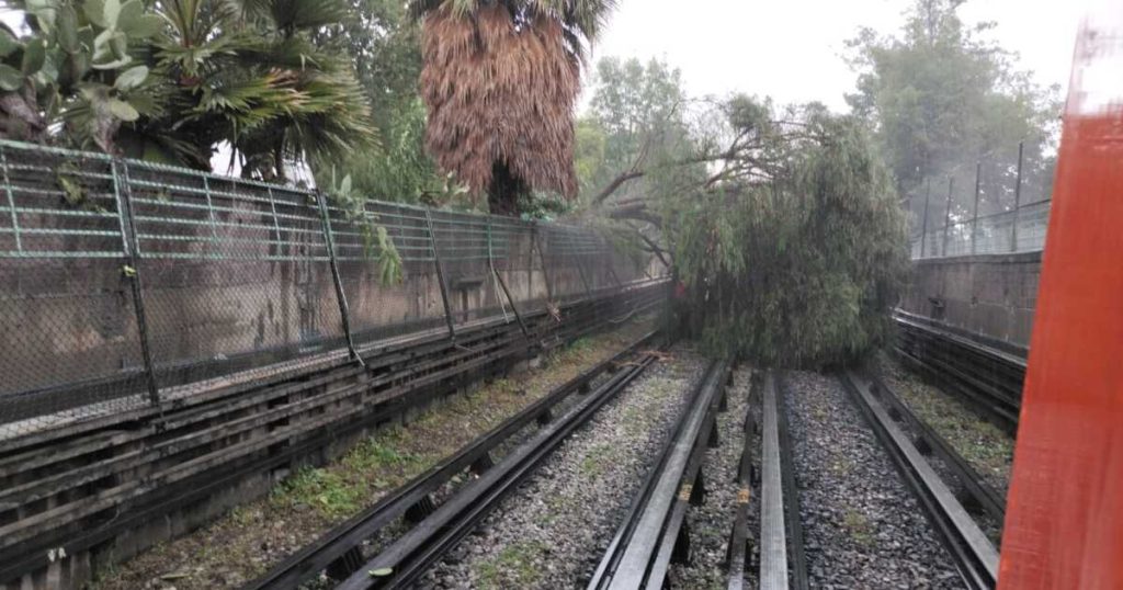 Tree falls on tracks on Line 5 of the CDMX Metro; service is interrupted