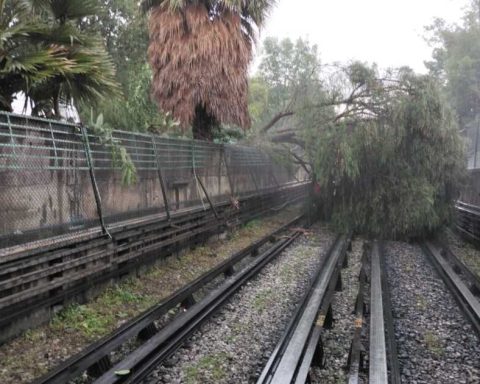 Tree falls on tracks on Line 5 of the CDMX Metro; service is interrupted