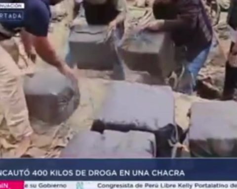 Tumbes: PNP seized 400 kilos of marijuana hidden in a farm (VIDEO)