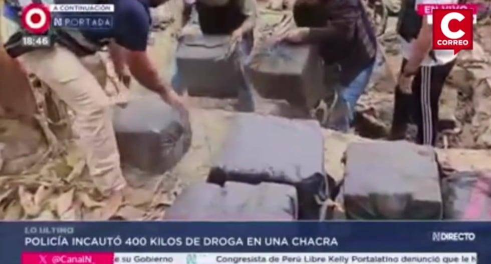 Tumbes: PNP seized 400 kilos of marijuana hidden in a farm (VIDEO)