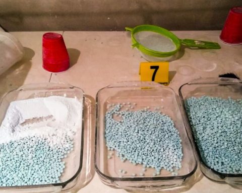 Two Mexicans arrested in drug lab in South Africa