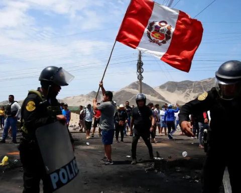 UN rapporteur warns that Peru did not adopt recommendations to guarantee peaceful assemblies