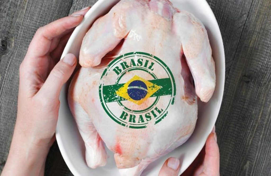 Viral outbreak: Brazil preventively suspends exports of meat and poultry products