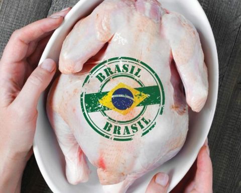 Viral outbreak: Brazil preventively suspends exports of meat and poultry products