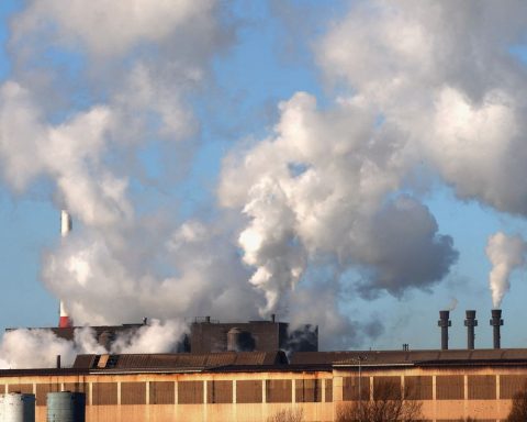 Voluntary carbon market in Brazil declines in 2023