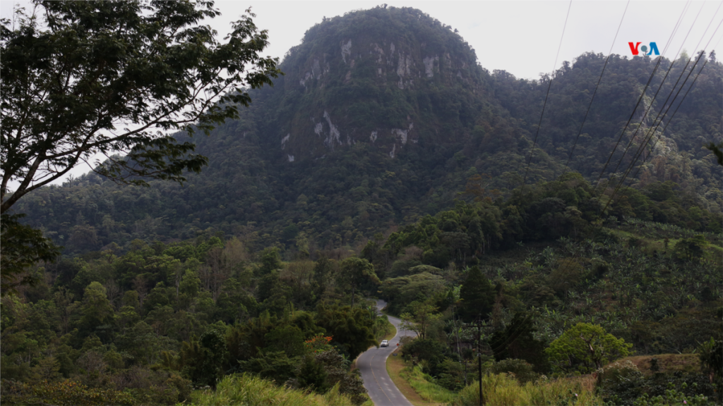 Why Nicaragua could lose its forests in 20 years