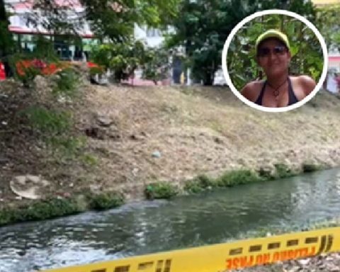 Mujer lanzada a un caño por su agresora.