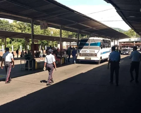 22 people arrested in Miranda for disturbing public order