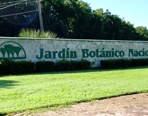 jardín botánico, la habana