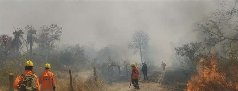 ABT initiated 48 criminal proceedings and issued 223 summons for forest fires