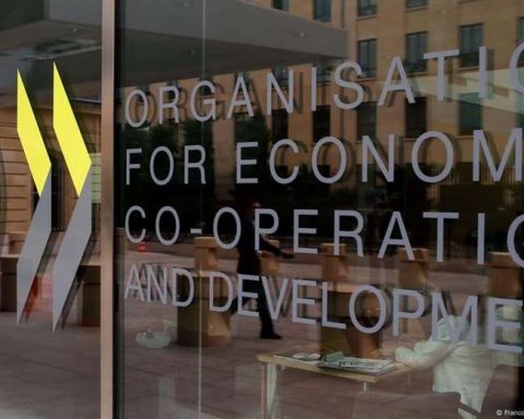 Argentina will submit its application for entry into the OECD this year