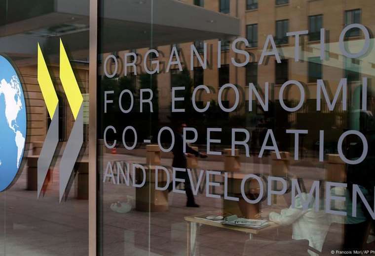 Argentina will submit its application for entry into the OECD this year